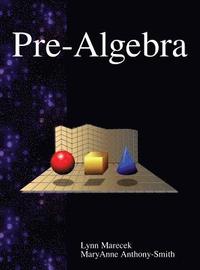 bokomslag Pre-Algebra