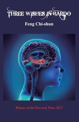 Three Wishes in Bardo