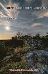 bokomslag Poems From The Wilderness
