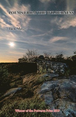bokomslag Poems From The Wilderness