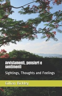 bokomslag Avvistamenti, pensieri e sentimenti: Sightings, Thoughts and Feelings