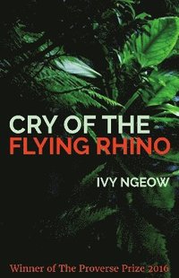 bokomslag Cry of the Flying Rhino