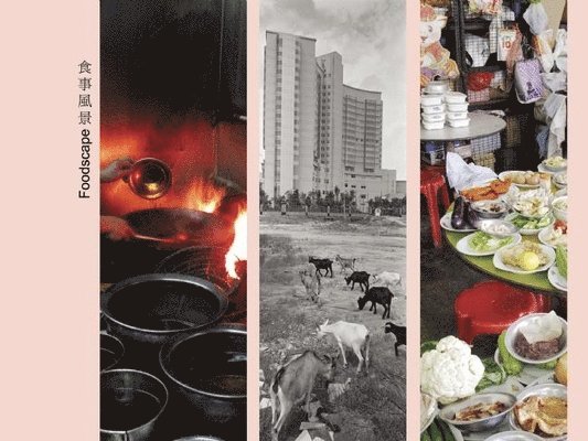 Foodscape - a Swiss-Chinese Intercultural Encounter About the Culture of Food 1
