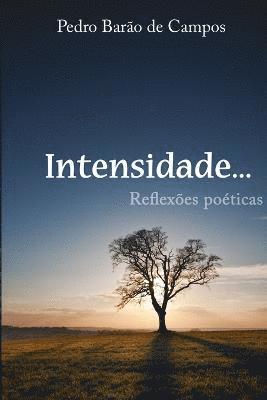 Intensidade - Reflexes Poticas 1