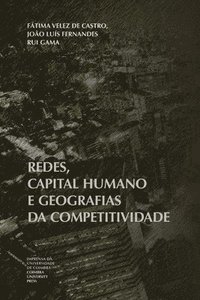 bokomslag Redes, capital humano e geografias da competitividade