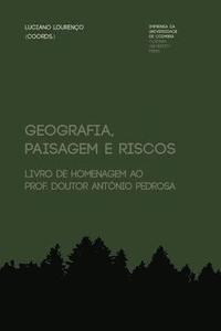 bokomslag Geografia, paisagem e riscos: livro de homenagem ao Prof. Doutor António Pedrosa
