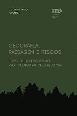 bokomslag Geografia, paisagem e riscos: livro de homenagem ao Prof. Doutor António Pedrosa