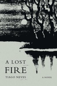 bokomslag A Lost Fire