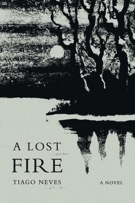 A Lost Fire 1