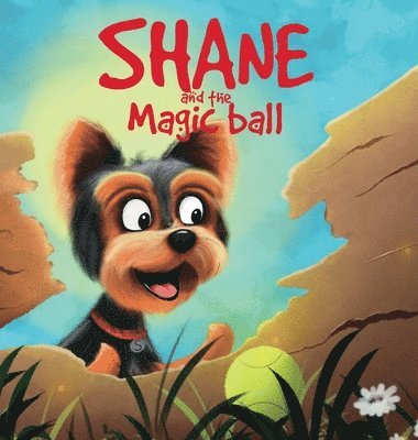 bokomslag Shane and the magic ball