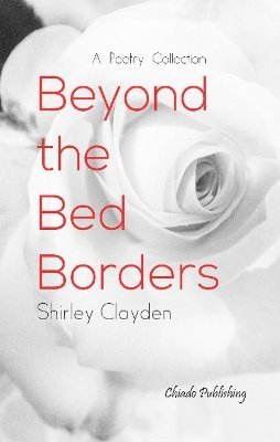 bokomslag Beyond the Bed Borders