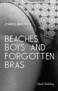 bokomslag Beaches, Boys & Forgotten Bras