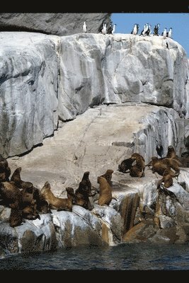 bokomslag A Revolucao dos Pinguins