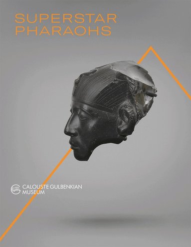 Guillemette Andreu-Lanoë, Frédéric Mougenot, João Carvalho Dias, Annie Forgeau, Vincent Rondot - Superstar Pharaohs, Häftad