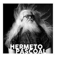 bokomslag Hermeto Pascoal - Trajetria Musical