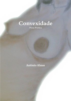 Convexidade 1