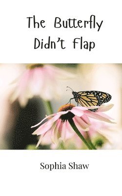 bokomslag Butterfly Didn't Flap