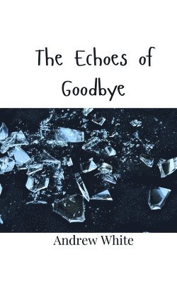 bokomslag Echoes of Goodbye