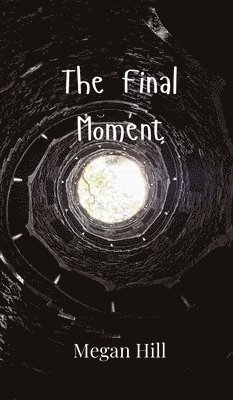 Megan Hill - Final Moment, Inbunden