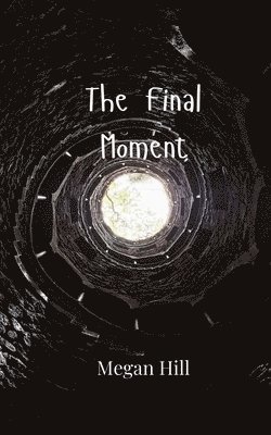 Megan Hill - Final Moment, Häftad