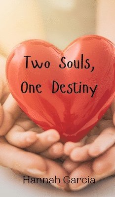 bokomslag Two Souls, One Destiny