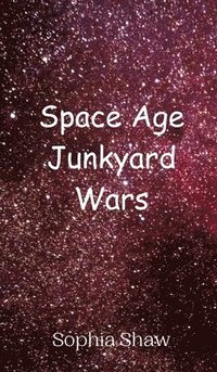 bokomslag Space Age Junkyard Wars