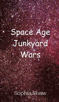 bokomslag Space Age Junkyard Wars