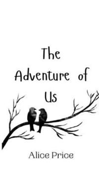 bokomslag The Adventure of Us