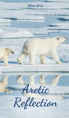 Arctic Reflection 1