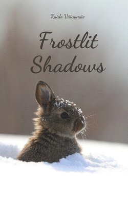 Frostlit Shadows 1