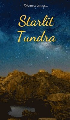 bokomslag Starlit Tundra