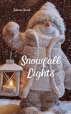 Snowfall Lights 1