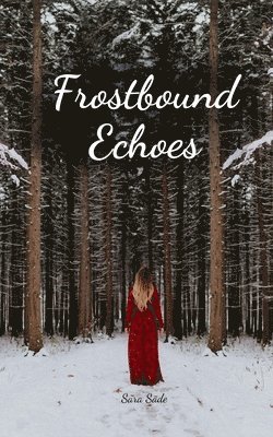 Frostbound Echoes 1