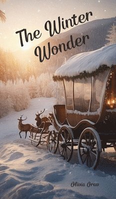 The Winter Wonder 1