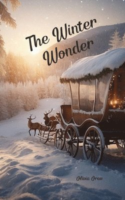 The Winter Wonder 1