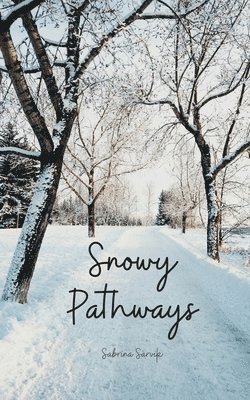 Snowy Pathways 1