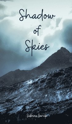 Shadow of Skies 1