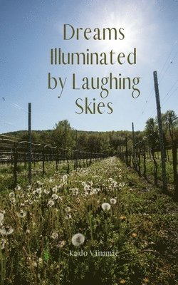 Dreams Illuminated by Laughing Skies 1