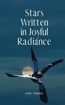 Stars Written in Joyful Radiance 1