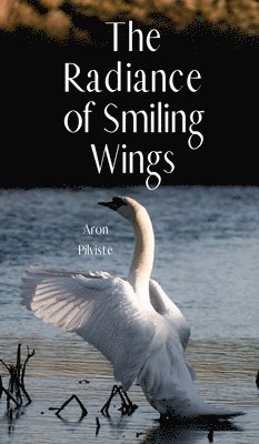 The Radiance of Smiling Wings 1