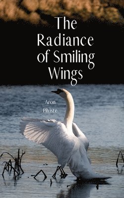 The Radiance of Smiling Wings 1