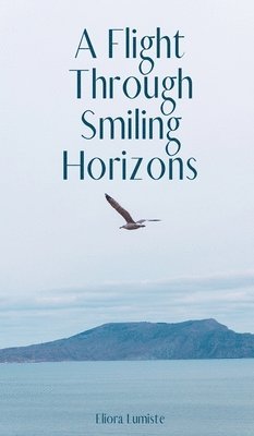 A Flight Through Smiling Horizons 1