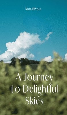 A Journey to Delightful Skies 1