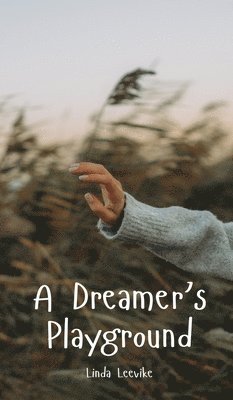 A Dreamer's Playground 1