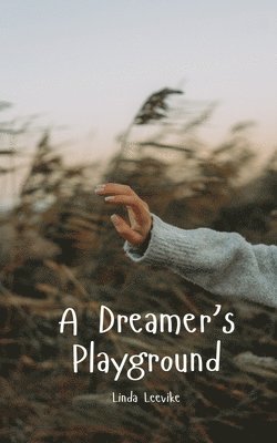 A Dreamer's Playground 1