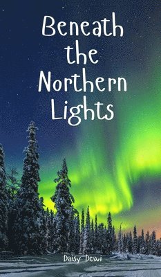 Beneath the Northern Lights 1