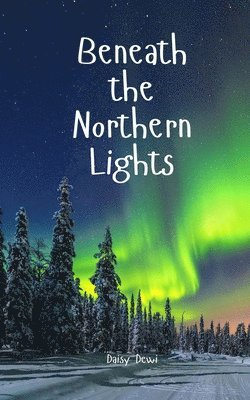 bokomslag Beneath the Northern Lights