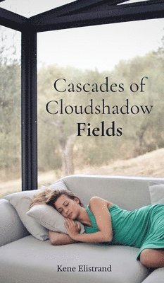 Cascades of Cloudshadow Fields 1