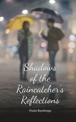 Shadows of the Raincatcher's Reflections 1