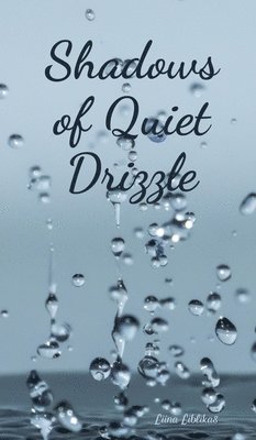 Shadows of Quiet Drizzle 1